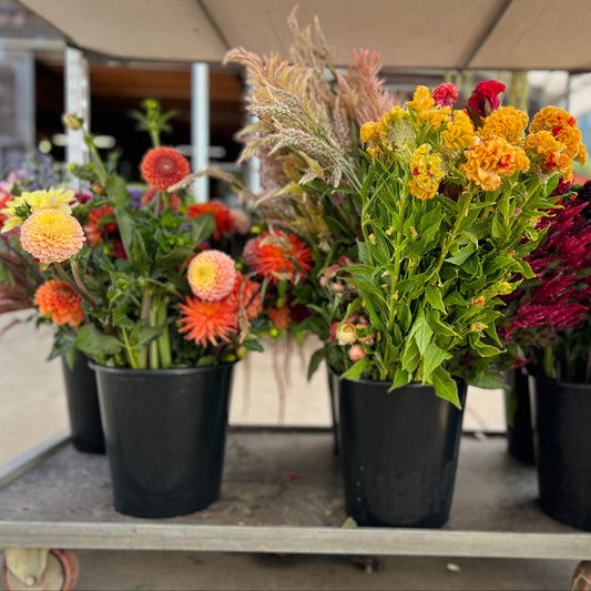 Buckets of flowers on a table with a blurred background