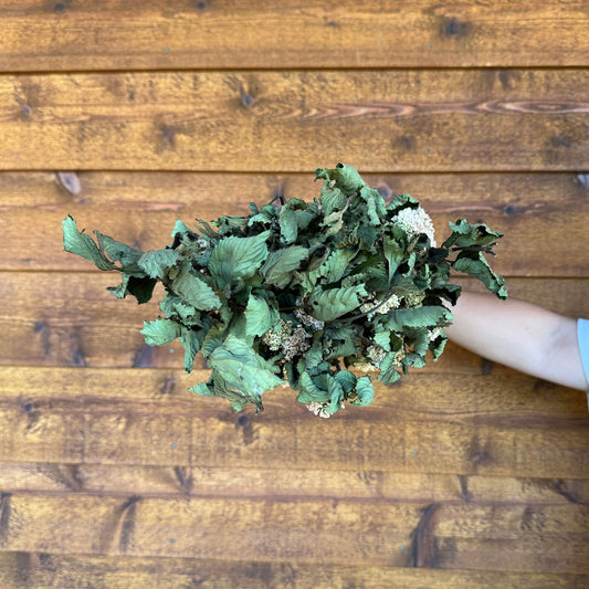 Hand holding a bouquet of green leaves against a wooden background