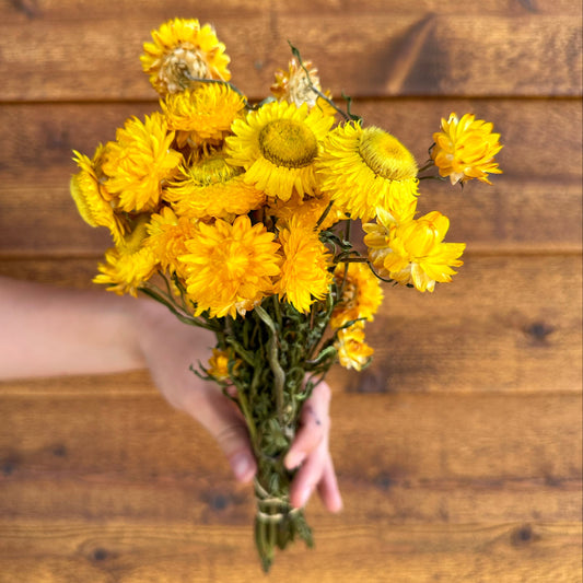 Hand holding a bouquet of yellow flowers against a wooden background