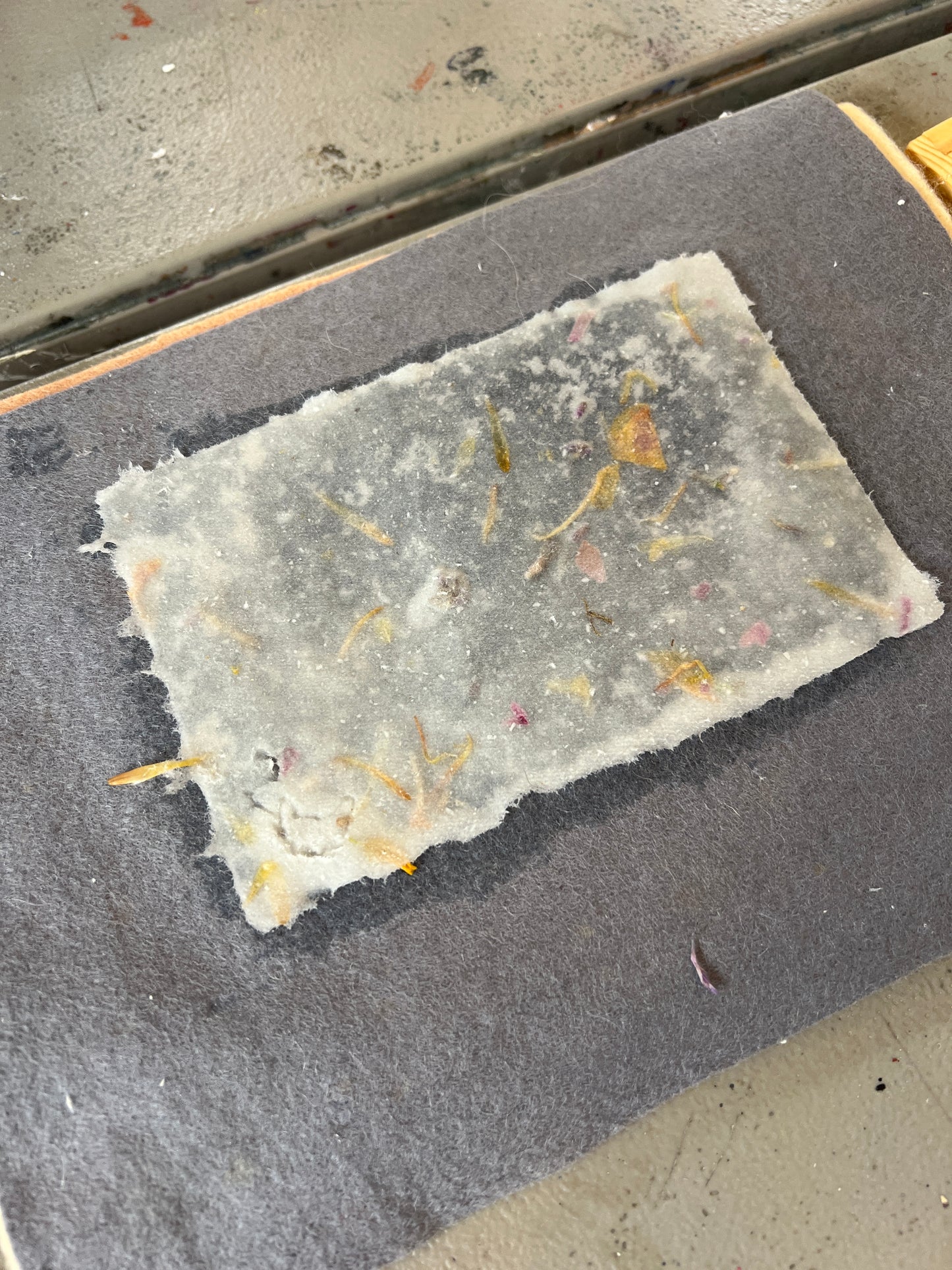 Paper-Making with Botanicals