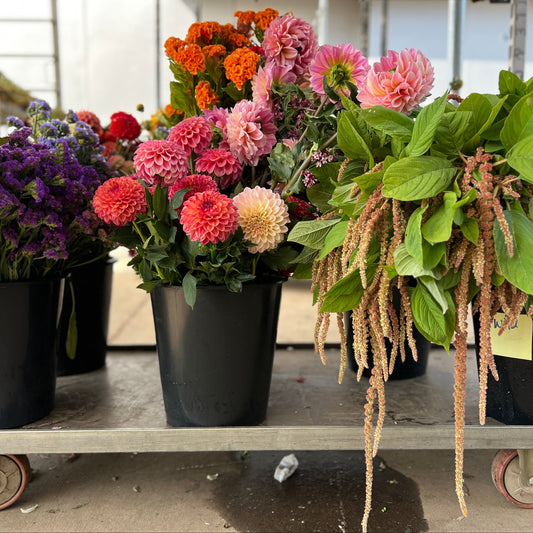 Cart with buckets of flowers in a greenhouse setting