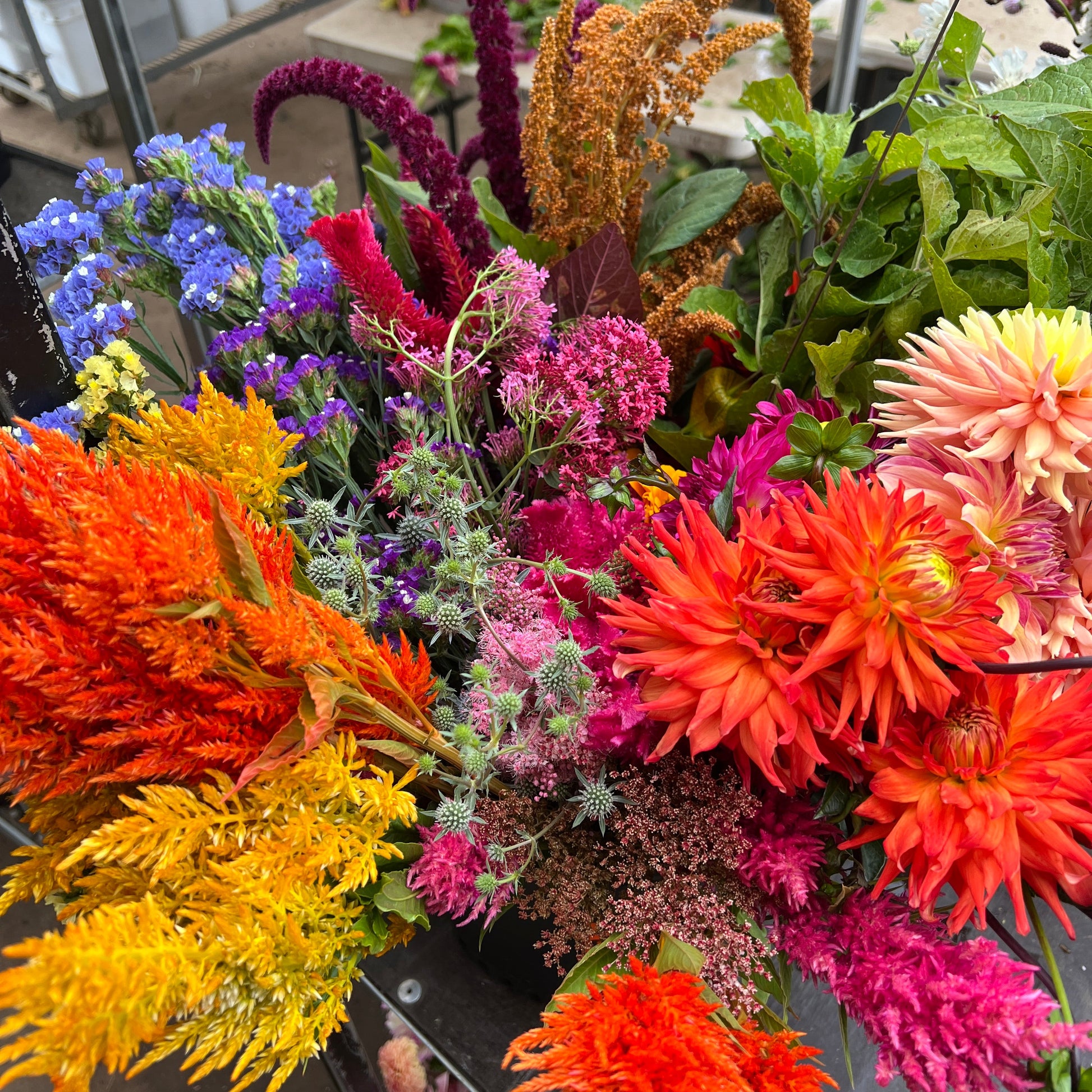 Bouquet of colorful flowers including orange, pink, and purple with green leaves.