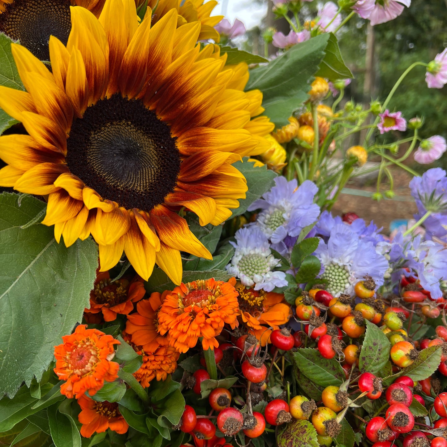 Bouquet of sunflowers and other colorful flowers with a blurred background
