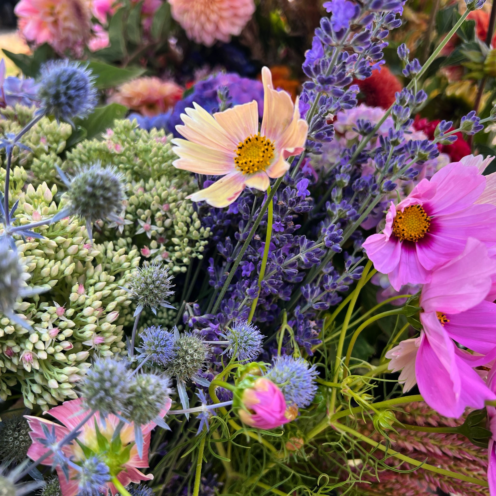 Bouquet of various flowers including pink, purple, and green.