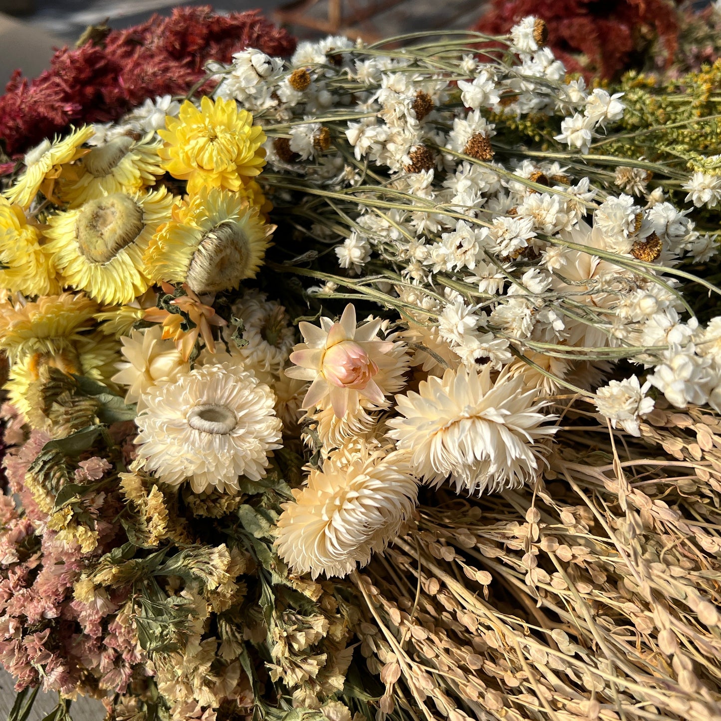 Bouquet of dried flowers with a mix of colors including yellow, white, and brown.