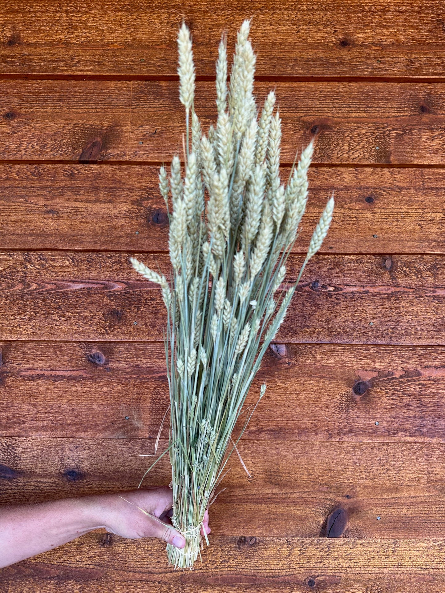 Bunch of green held against a wooden background