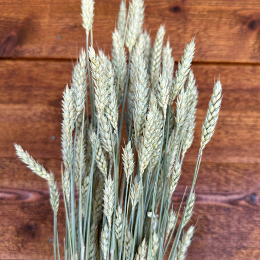 Bouquet of wheat against a wooden background