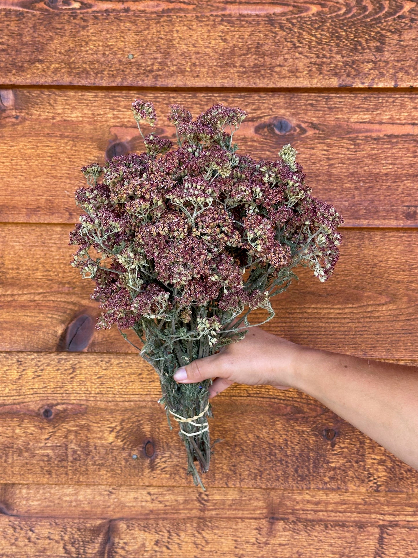 Bouquet of dried flowers held by a hand on a wooden surface