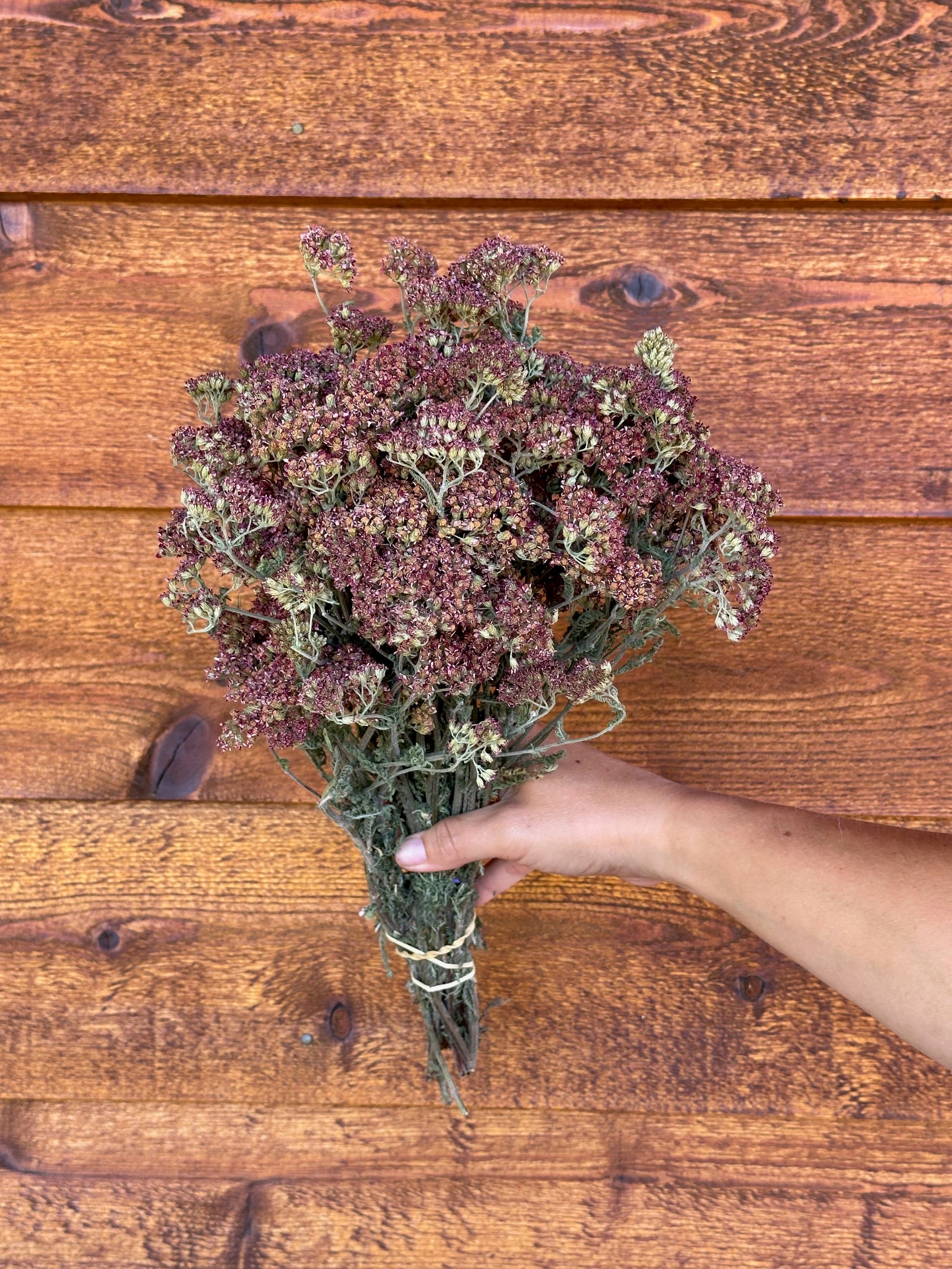 Bouquet of dried flowers held by a hand on a wooden surface