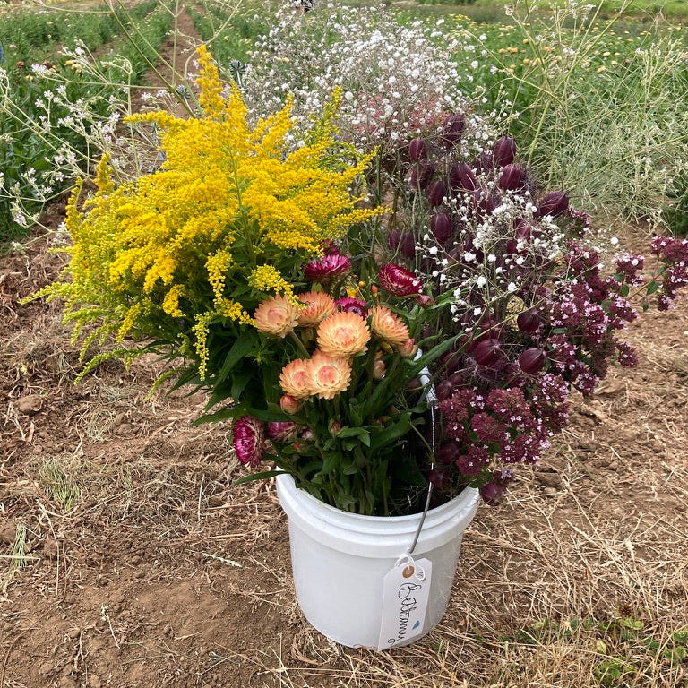 Bucket of flowers in a field with yellow, pink, and purple flowers.