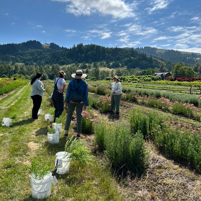 People in a field with plants and mountains in the background