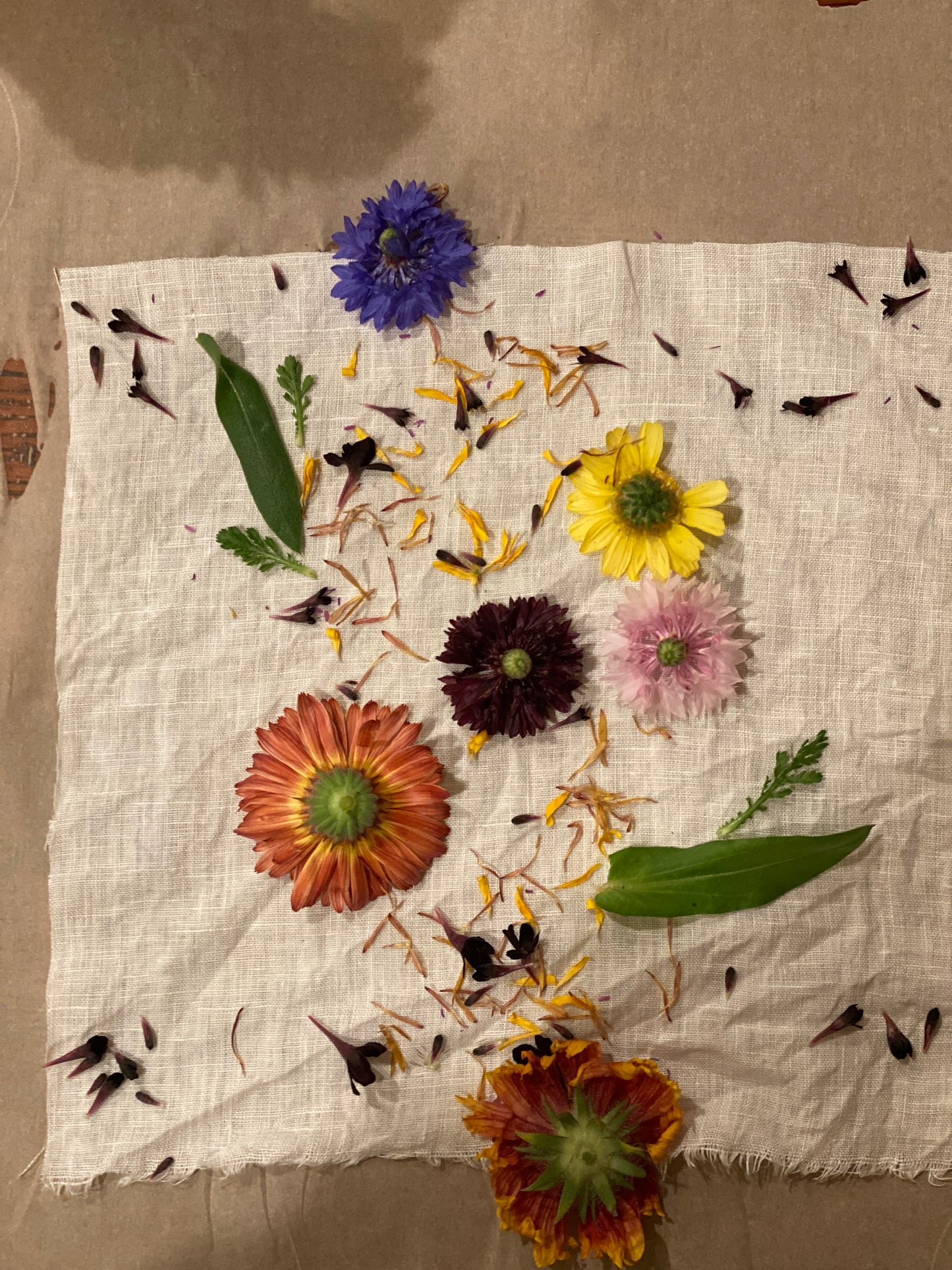 Eco-Printing Workshop