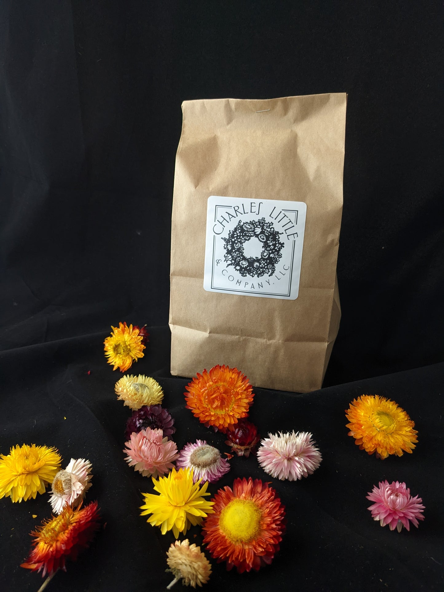 Strawflower Heads