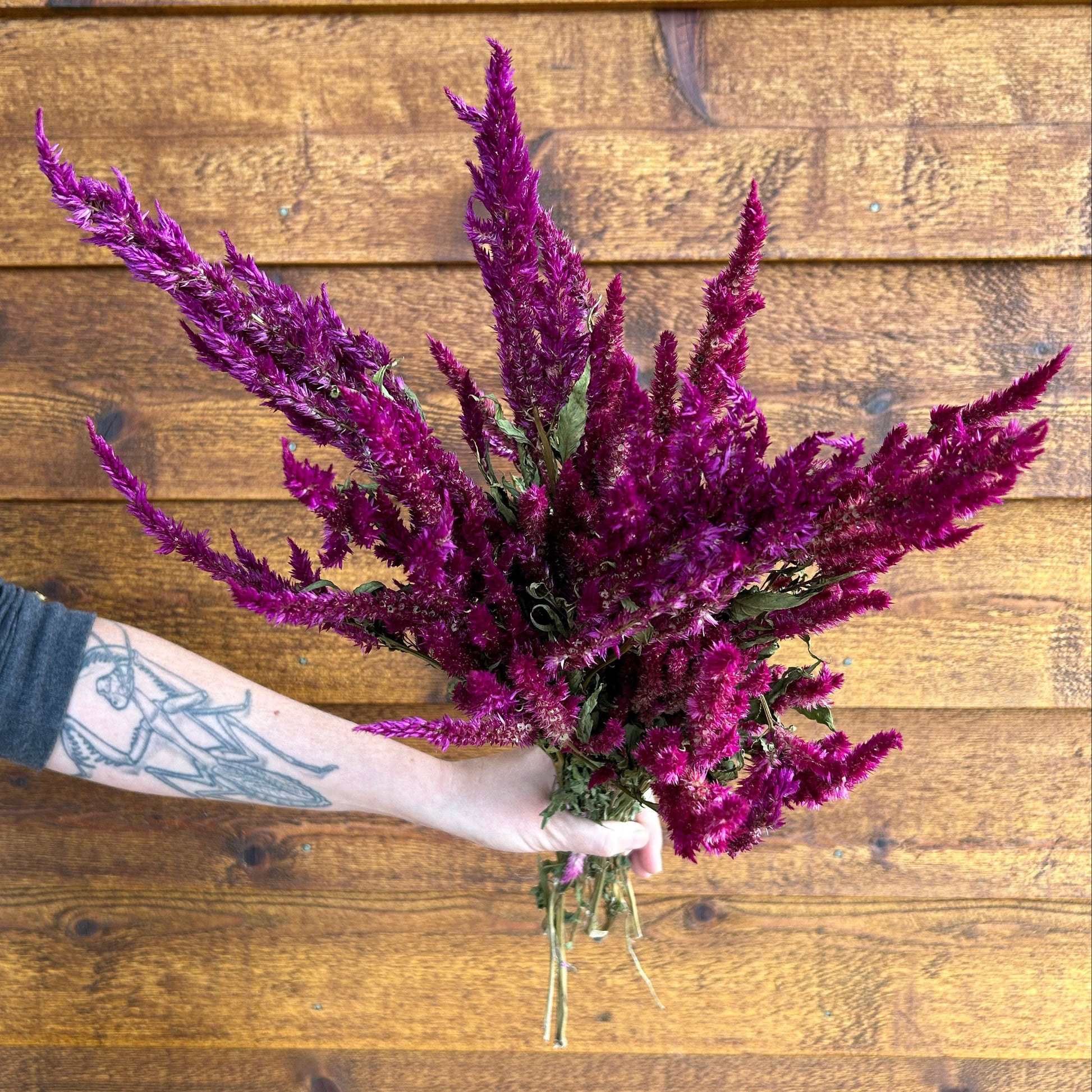 Bouquet of purple flowers held by a hand with tattoos against a wooden background