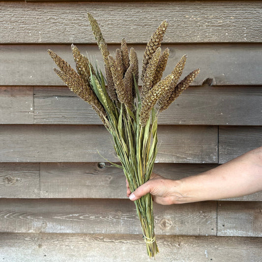 Bouquet of dried plants held by a hand against a wooden wall