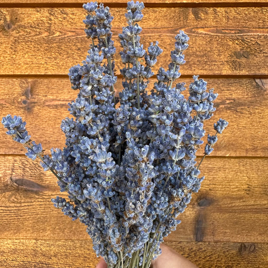 Bouquet of dried lavender against a wooden background