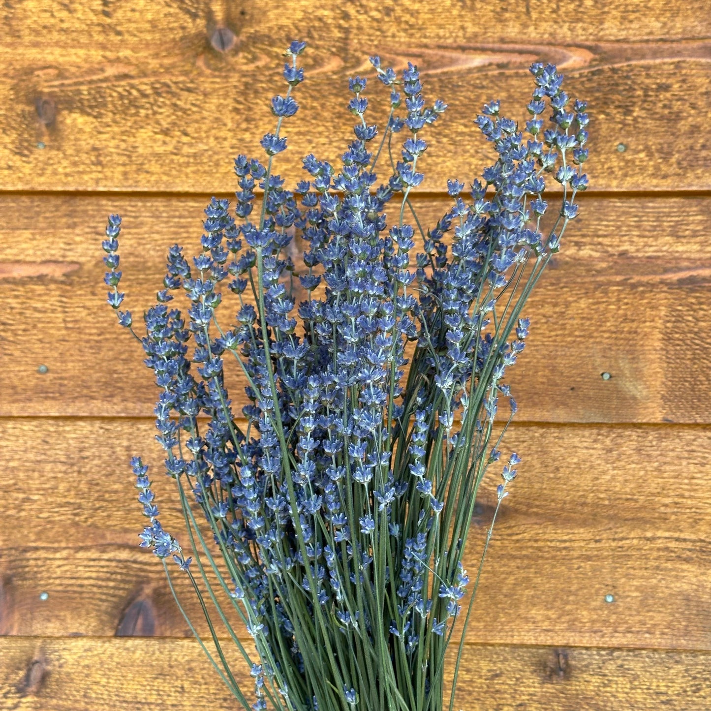 Bouquet of lavender on a wooden surface