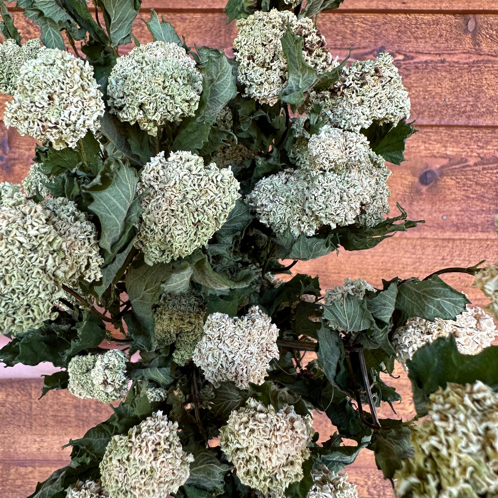 Dried flowers on a wooden surface
