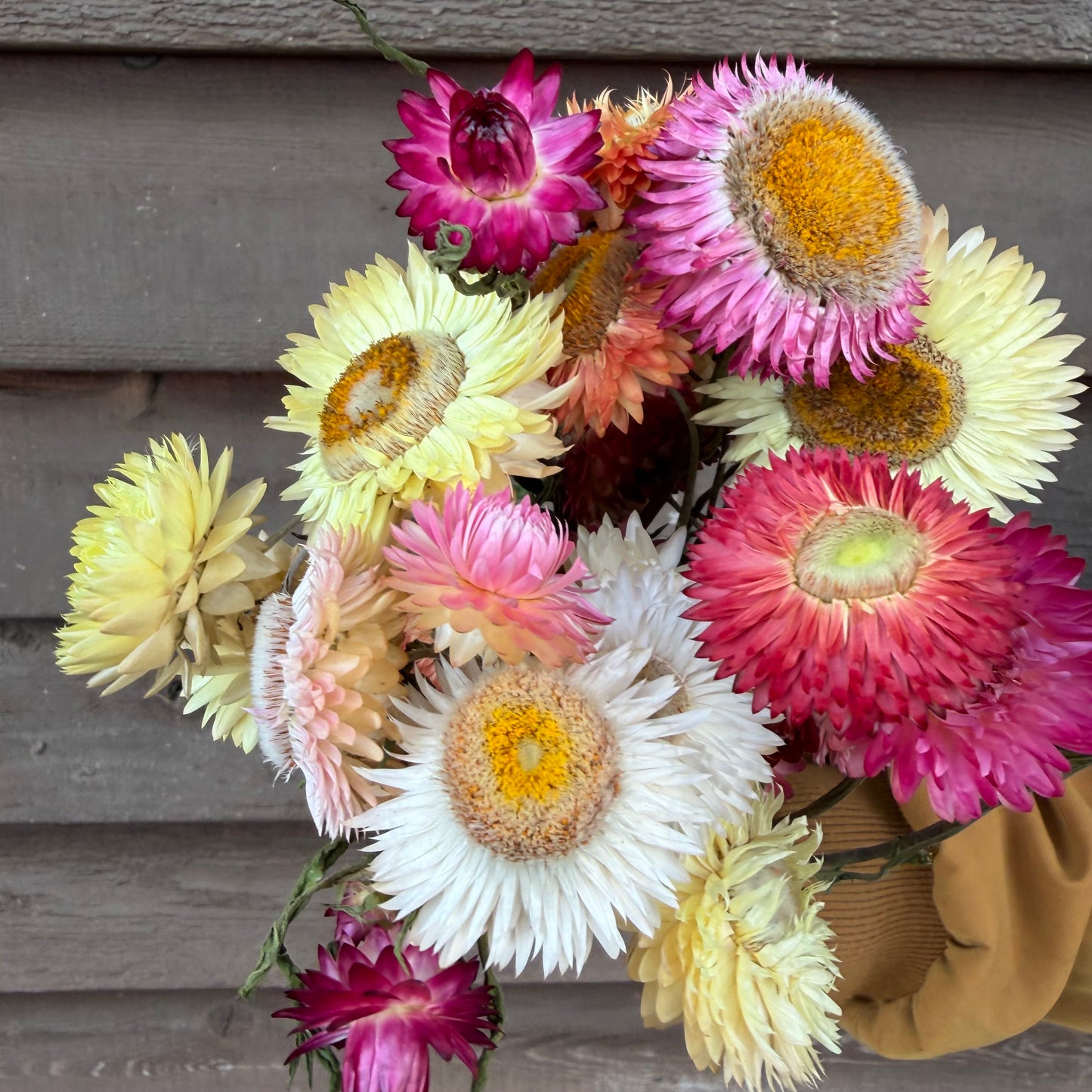 Bouquet of colorful flowers against a wooden background