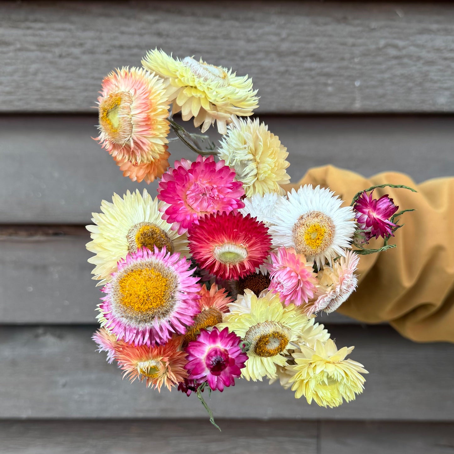 Hand holding a bouquet of colorful flowers against a wooden background