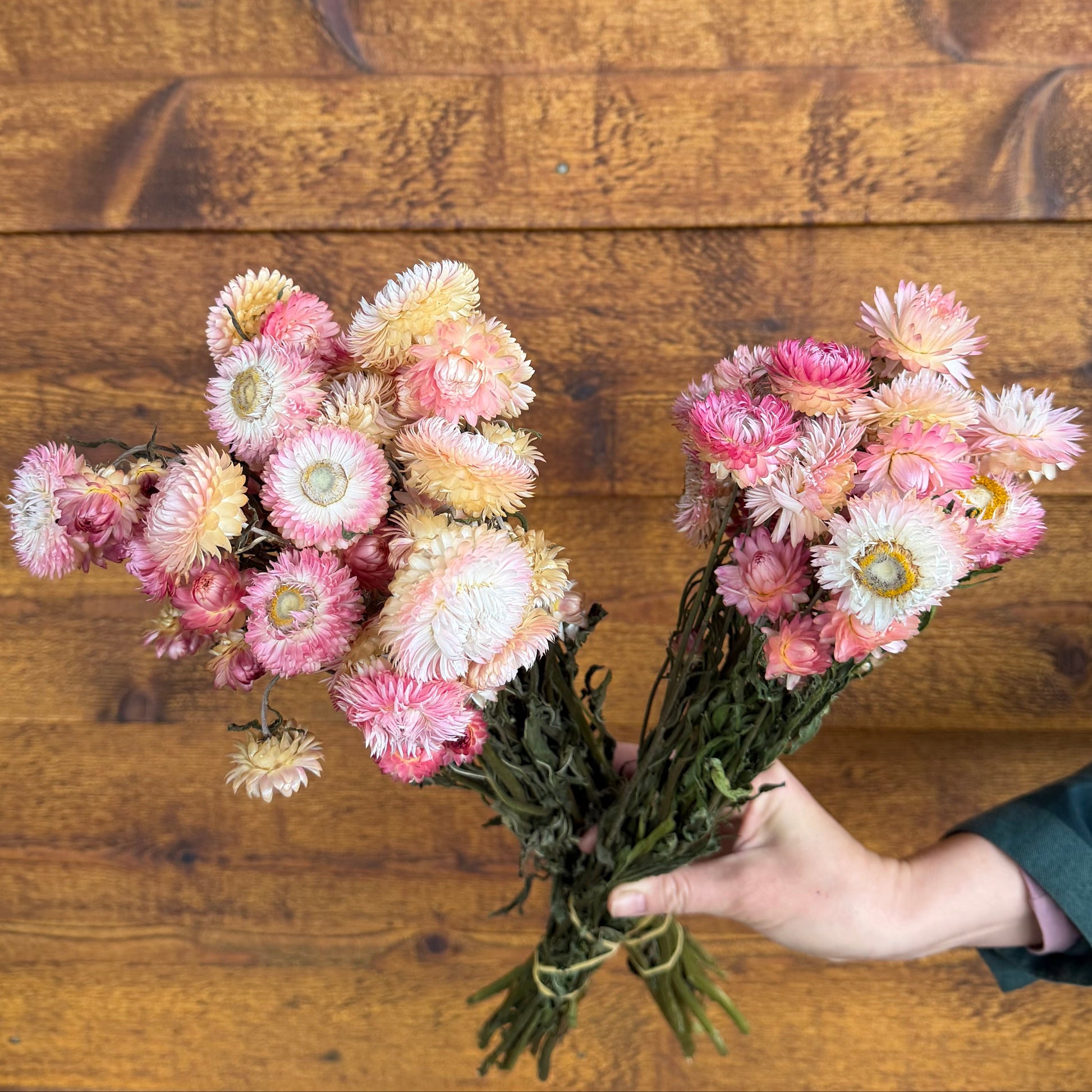 Hand holding a bouquet of pink and white flowers against a wooden background