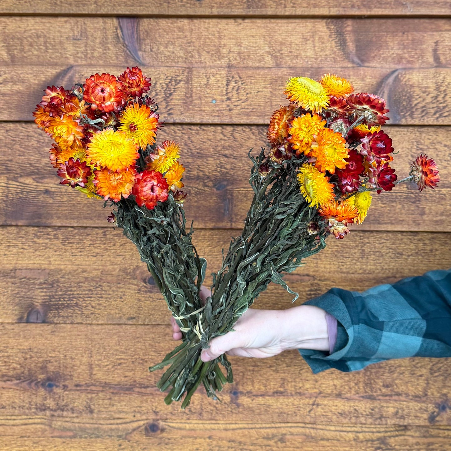 Bouquets of flowers held by a person on a wooden surface