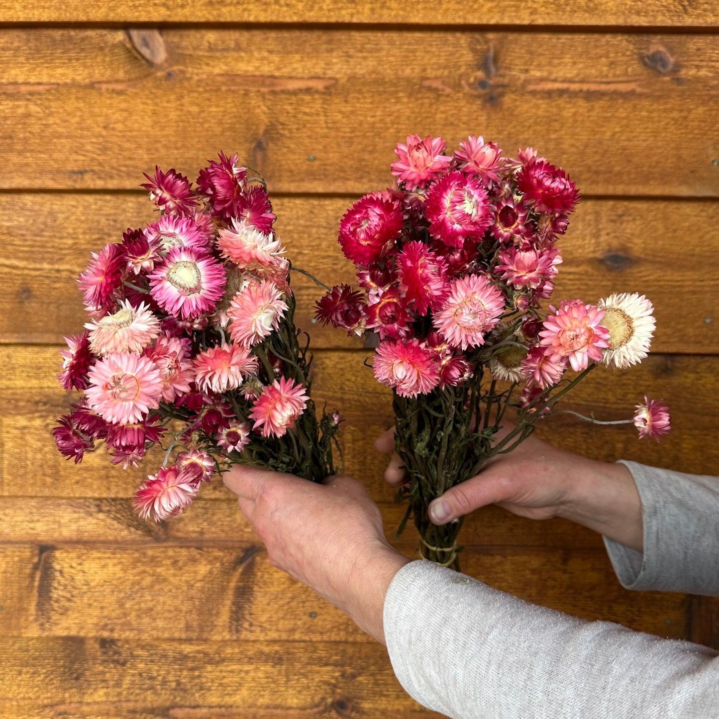 Two bouquets of pink flowers held by a person on a wooden surface