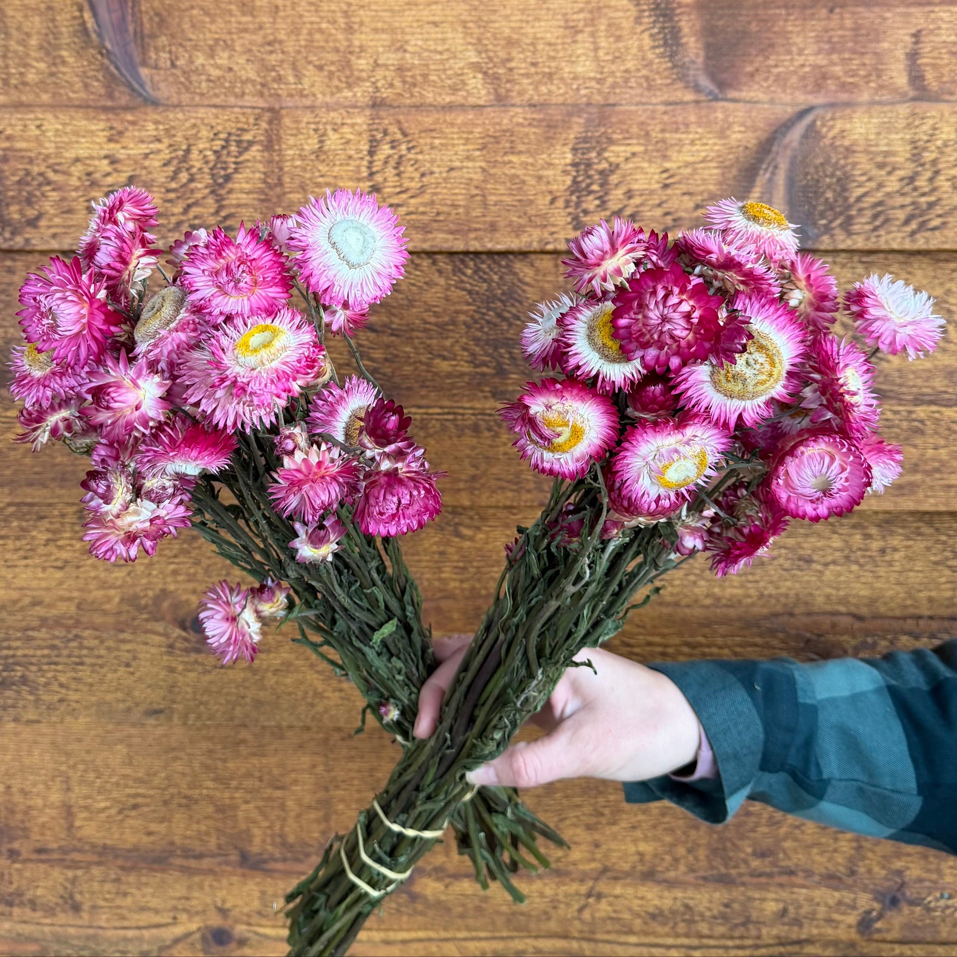 Bouquets of pink flowers held by a person against a wooden background