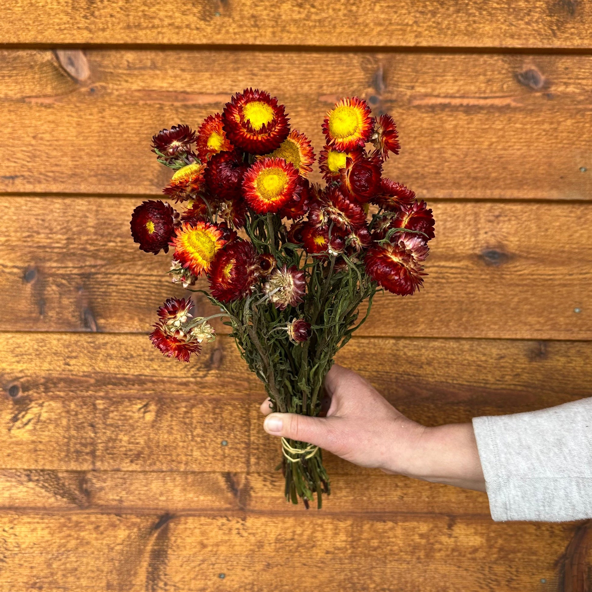 Hand holding a bouquet of red and yellow flowers against a wooden background