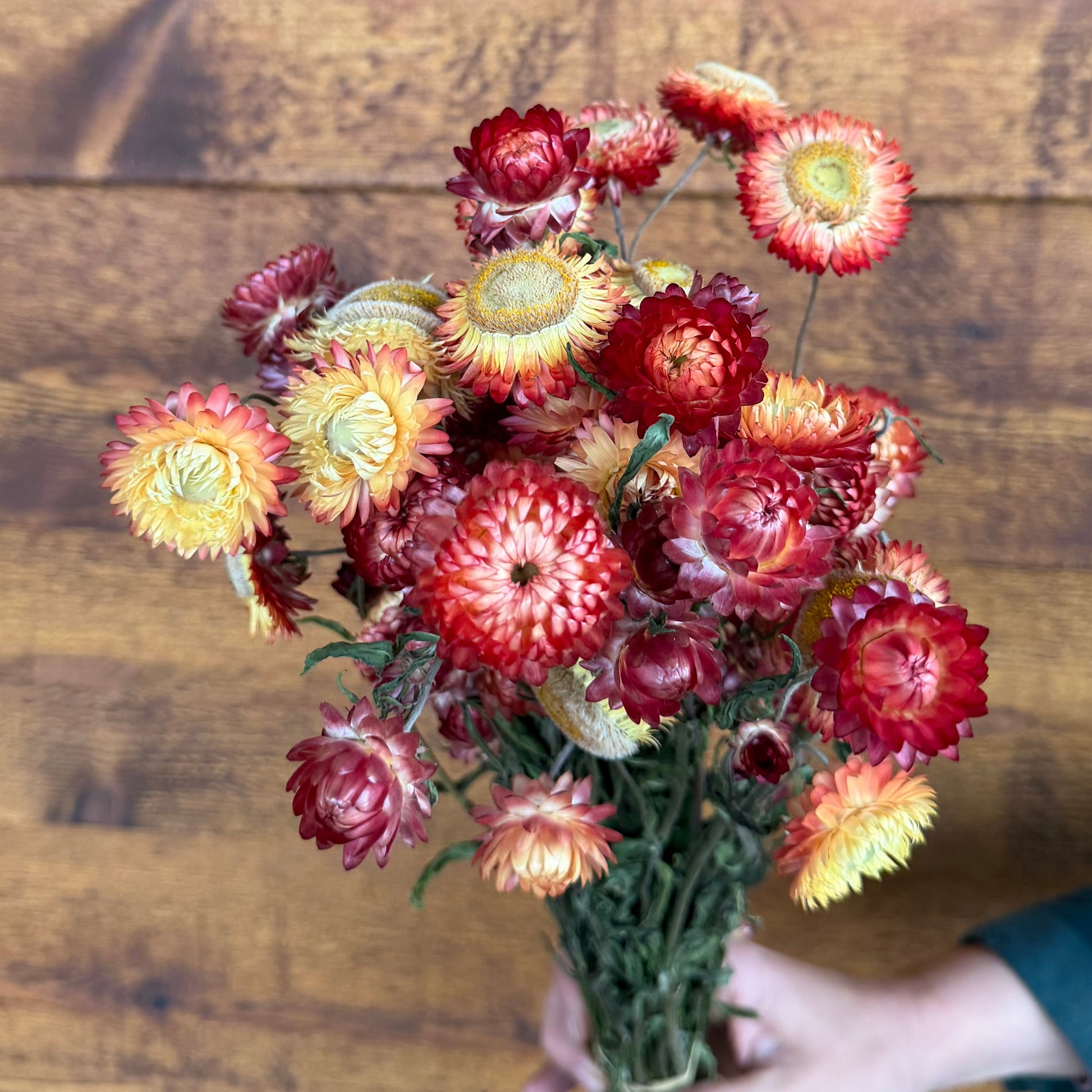 Bouquet of red and yellow flowers held against a wooden background