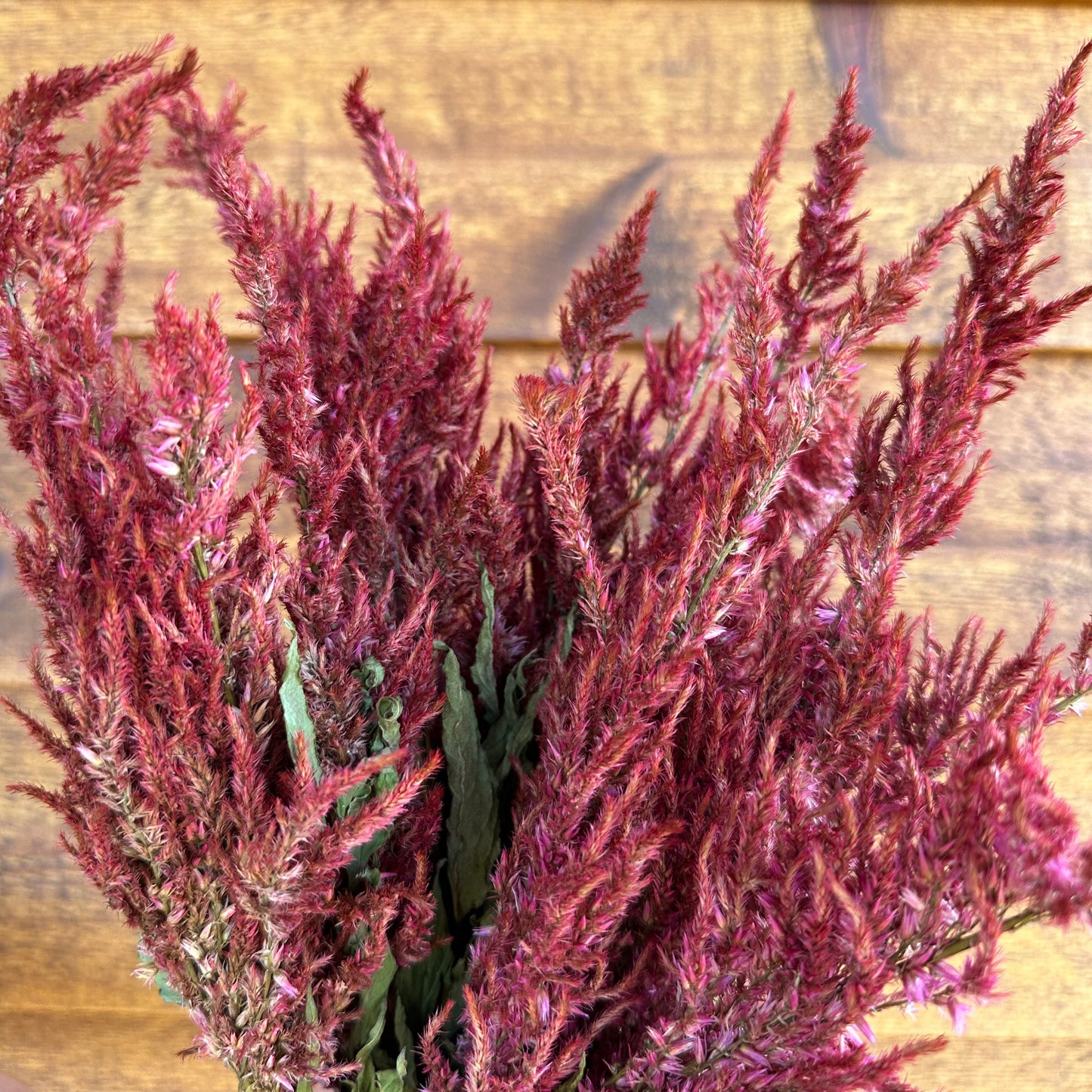 Bouquet of red flowers against a wooden background