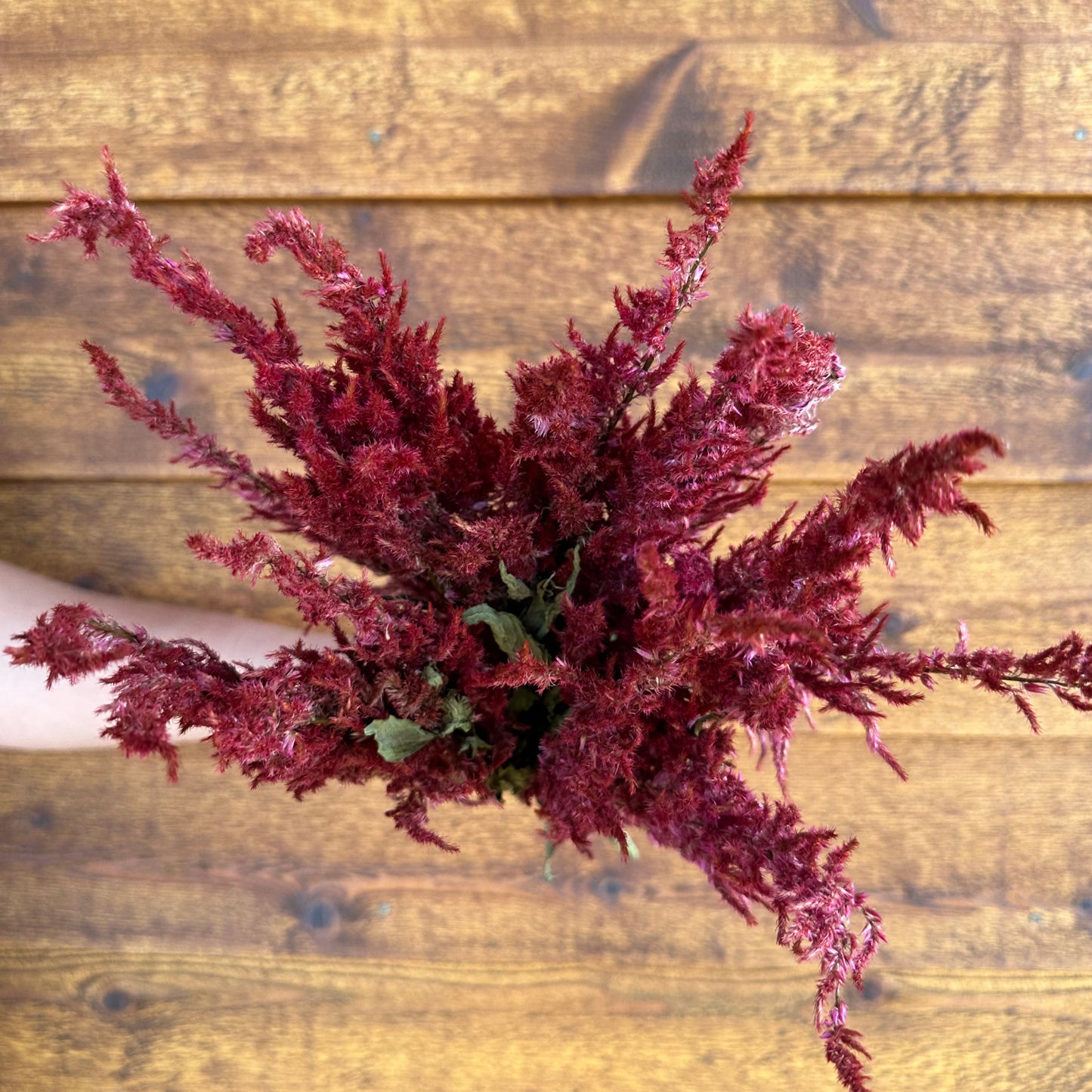 Red foliage on a wooden surface