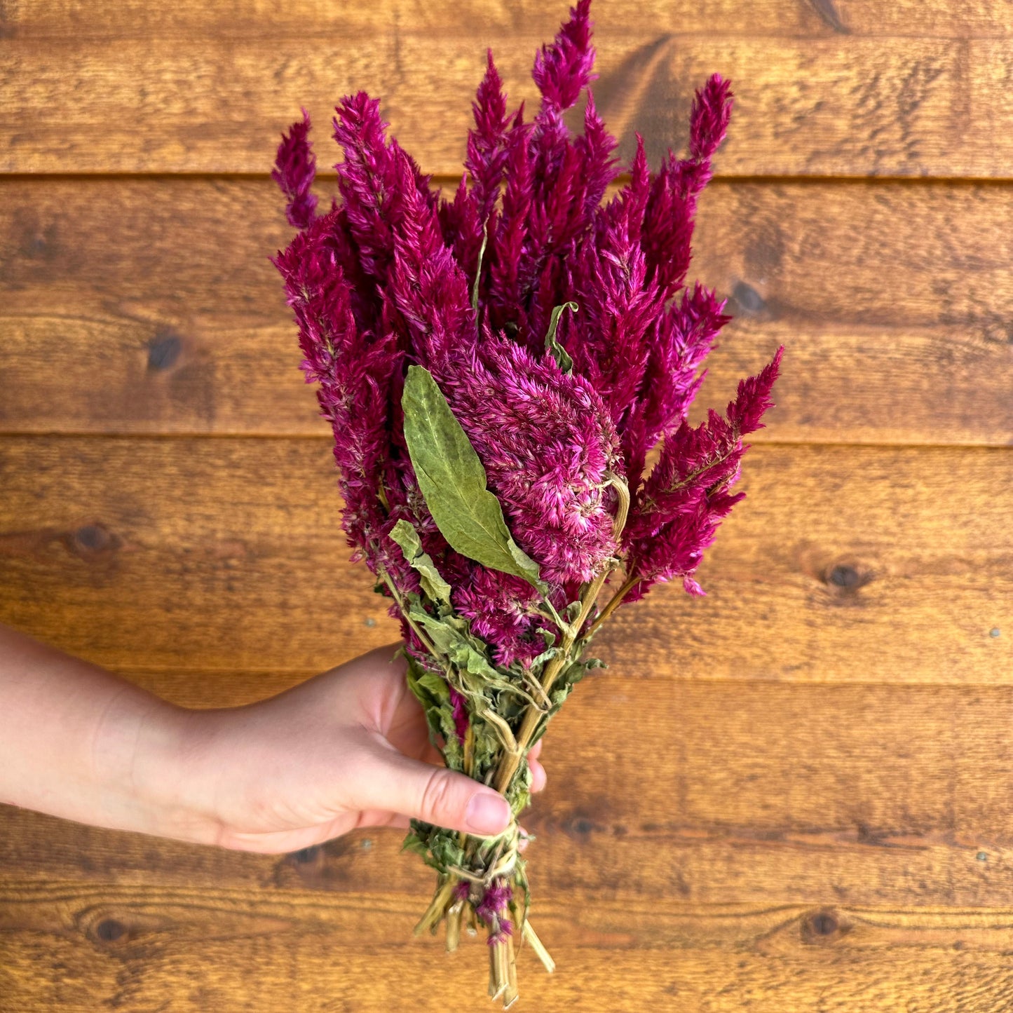 Hand holding a bundle of purple flowers against a wooden background