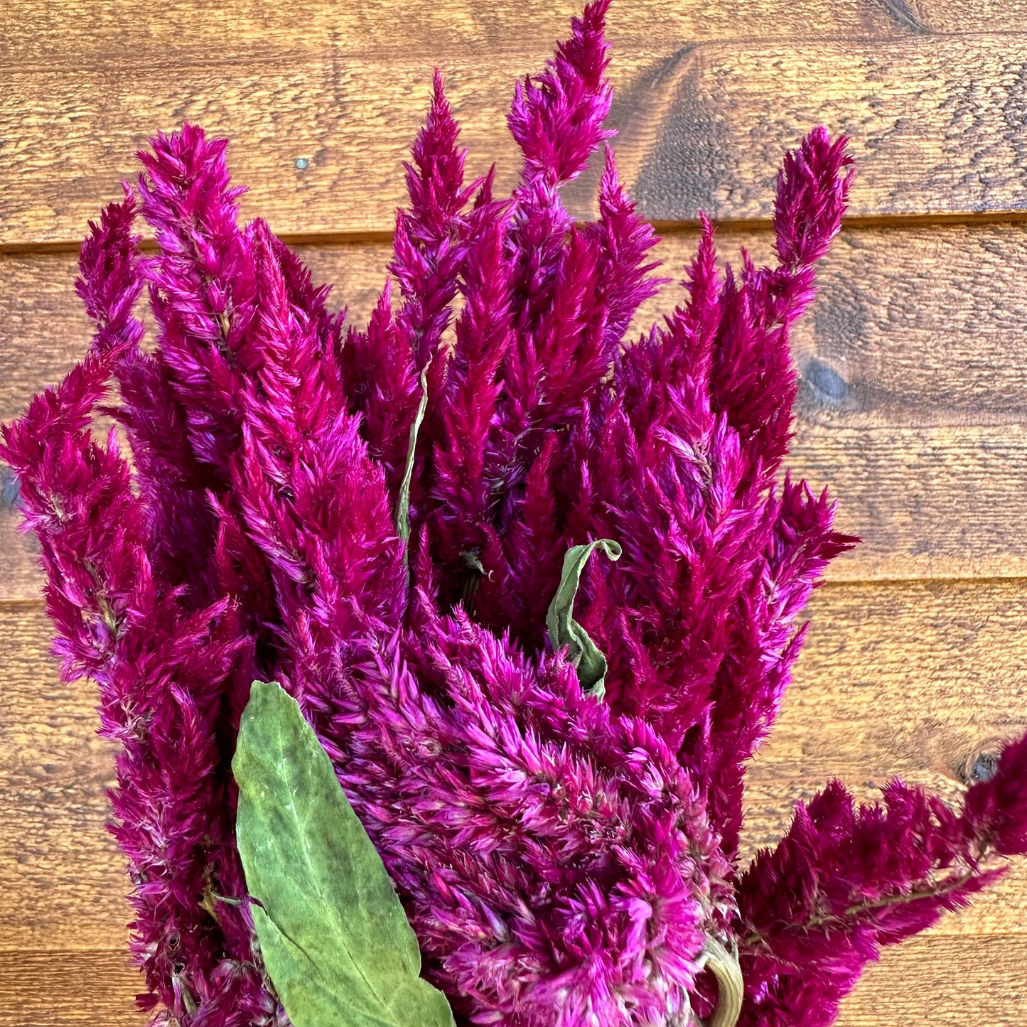Purple flower arrangement on a wooden surface
