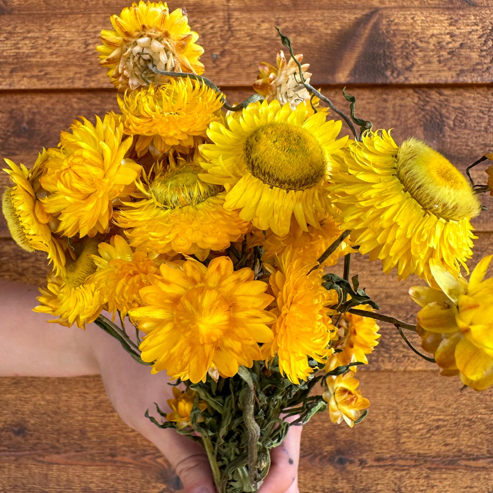 Bouquet of yellow flowers held by a hand against a wooden background