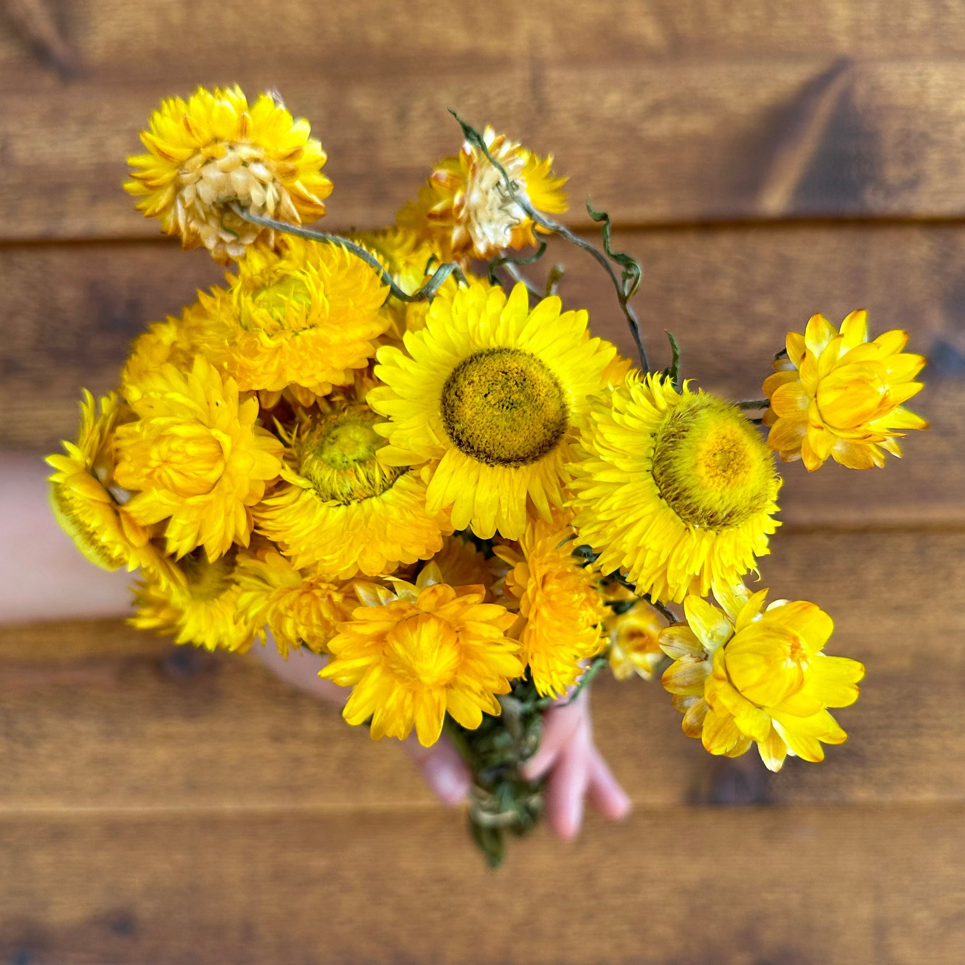 Bouquet of yellow flowers held against a wooden background