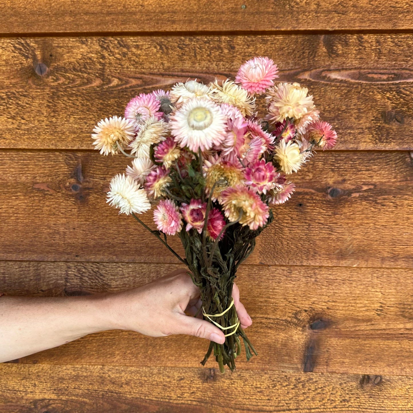 Hand holding a bouquet of flowers against a wooden background