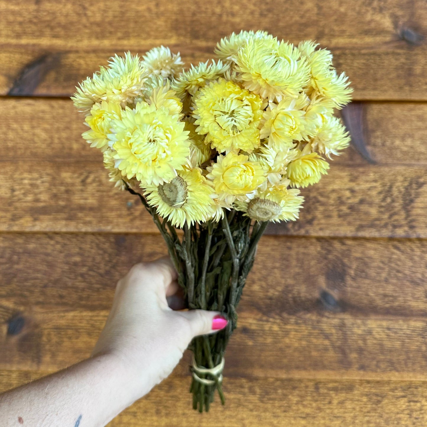 Hand holding a bouquet of yellow flowers against a wooden background