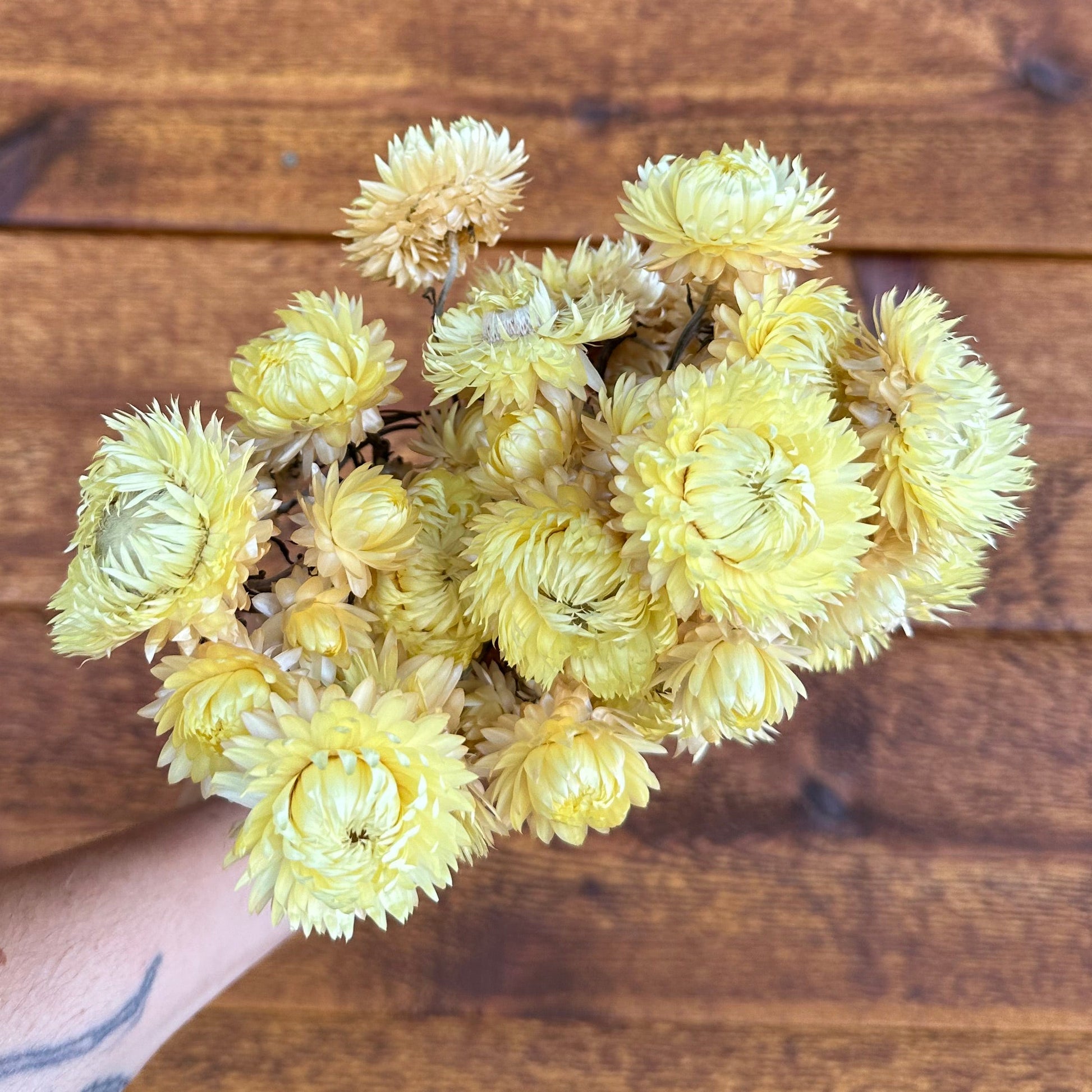 Hand holding a bouquet of yellow flowers against a wooden background