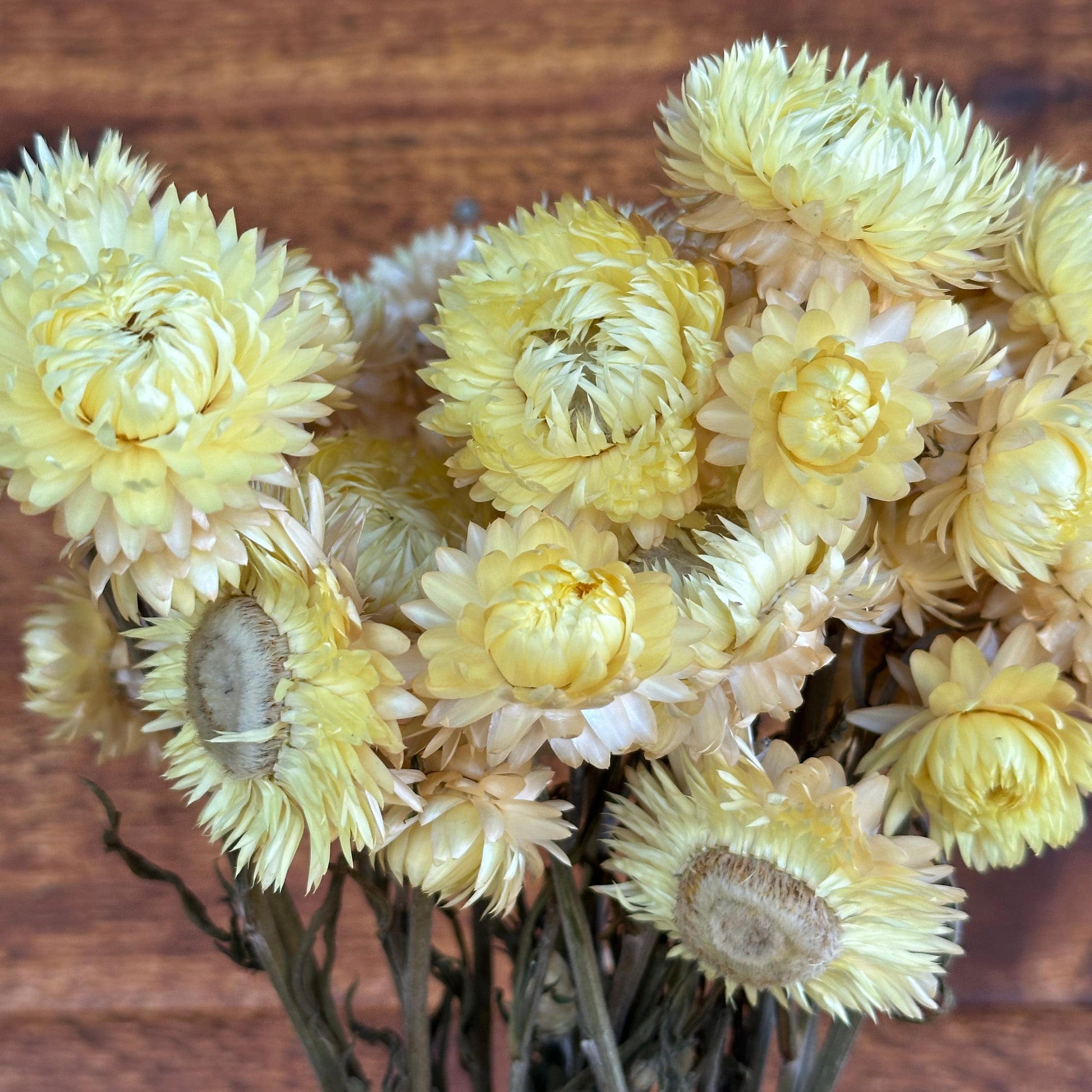 Bouquet of dried yellow flowers on a wooden surface