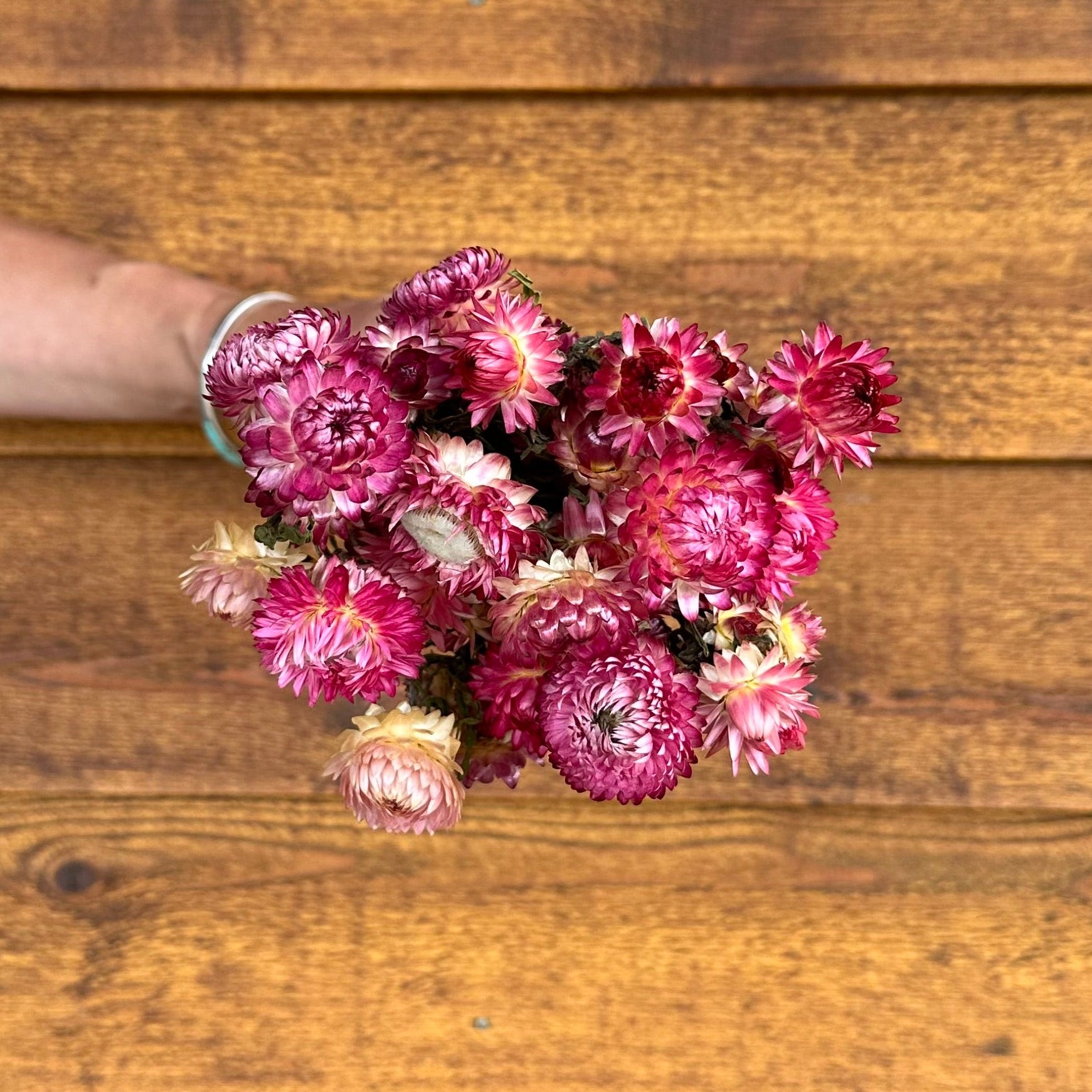 Bouquet of pink flowers held by a person against a wooden background