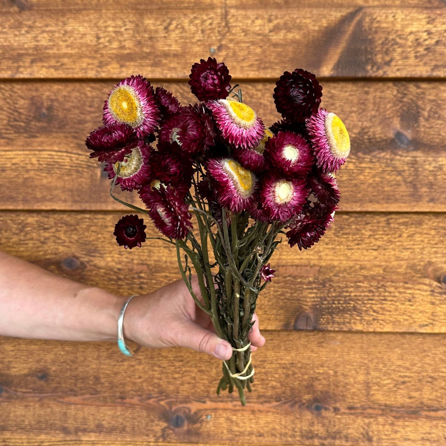 Hand holding a bouquet of purple and yellow flowers against a wooden background