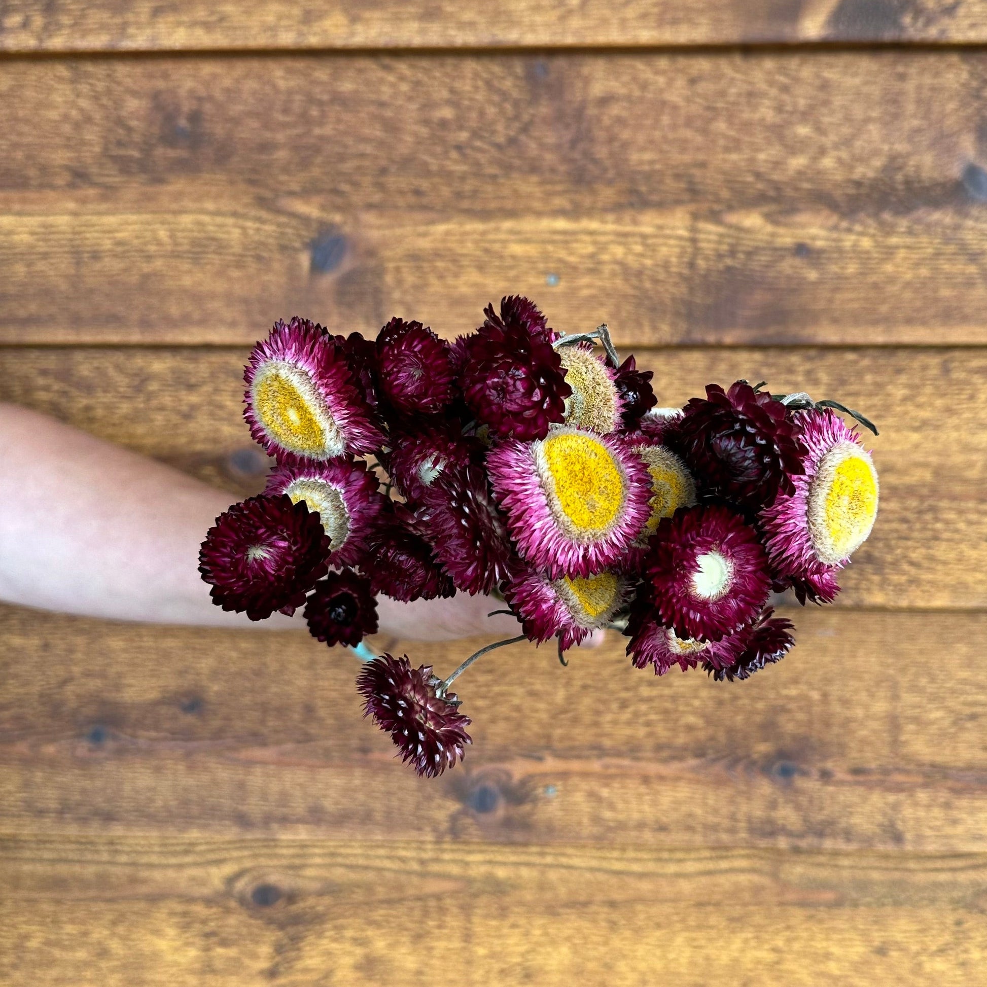 Bouquet of dried flowers with purple and yellow centers on a wooden surface