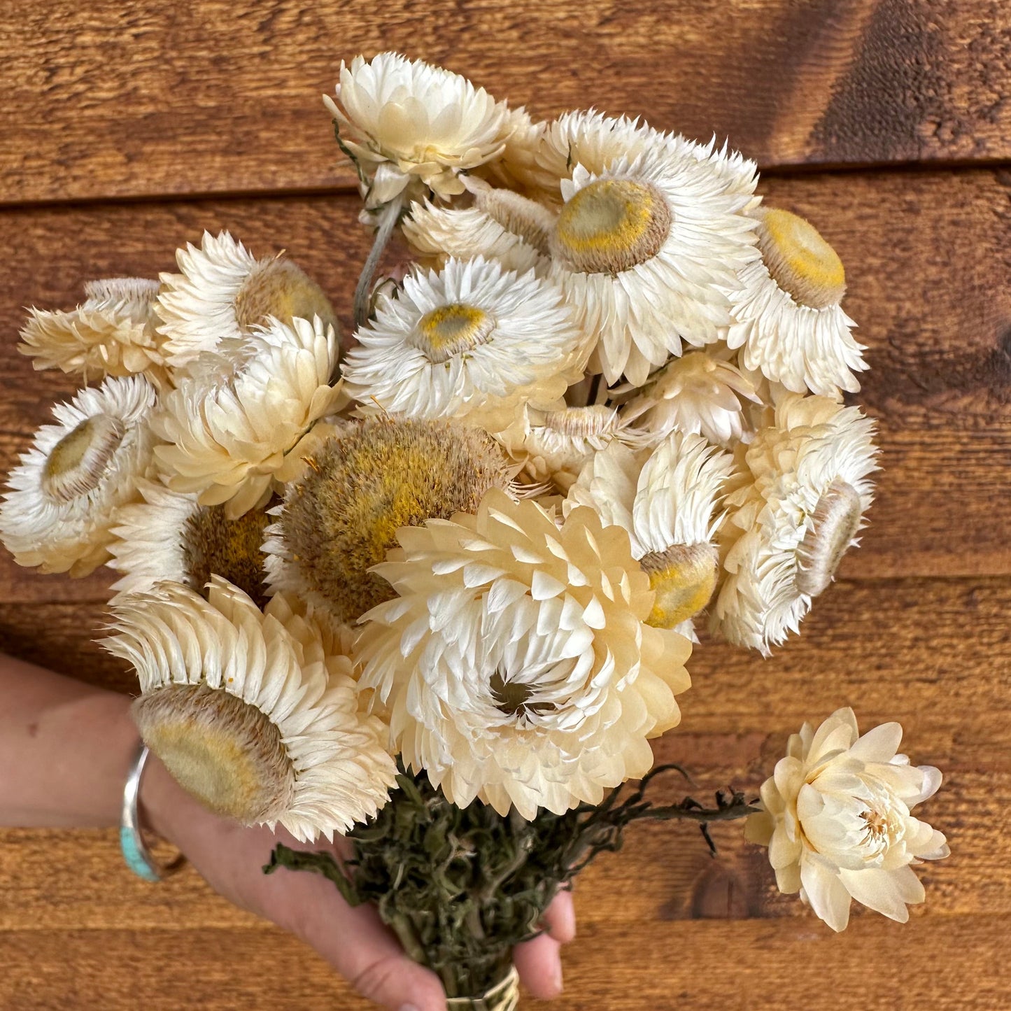 Bouquet of dried flowers held by a person against a wooden background