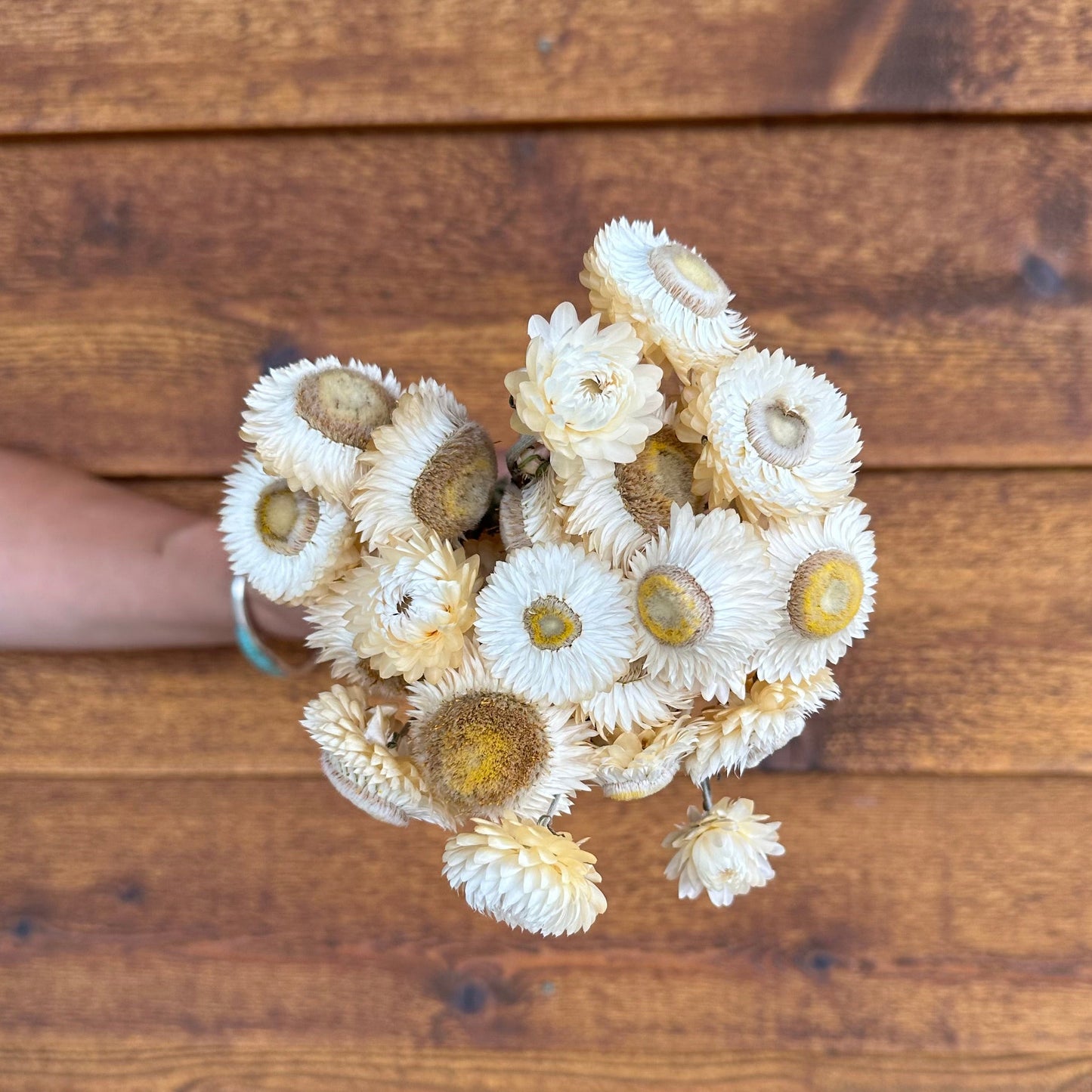 Bouquet of dried flowers held against a wooden background